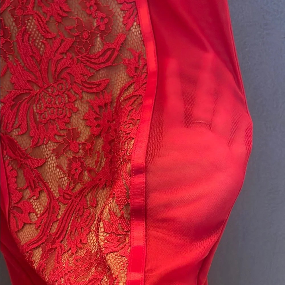 NWT JLUXLABEL Scarlet Lace Bustier - Picture 4 of 7